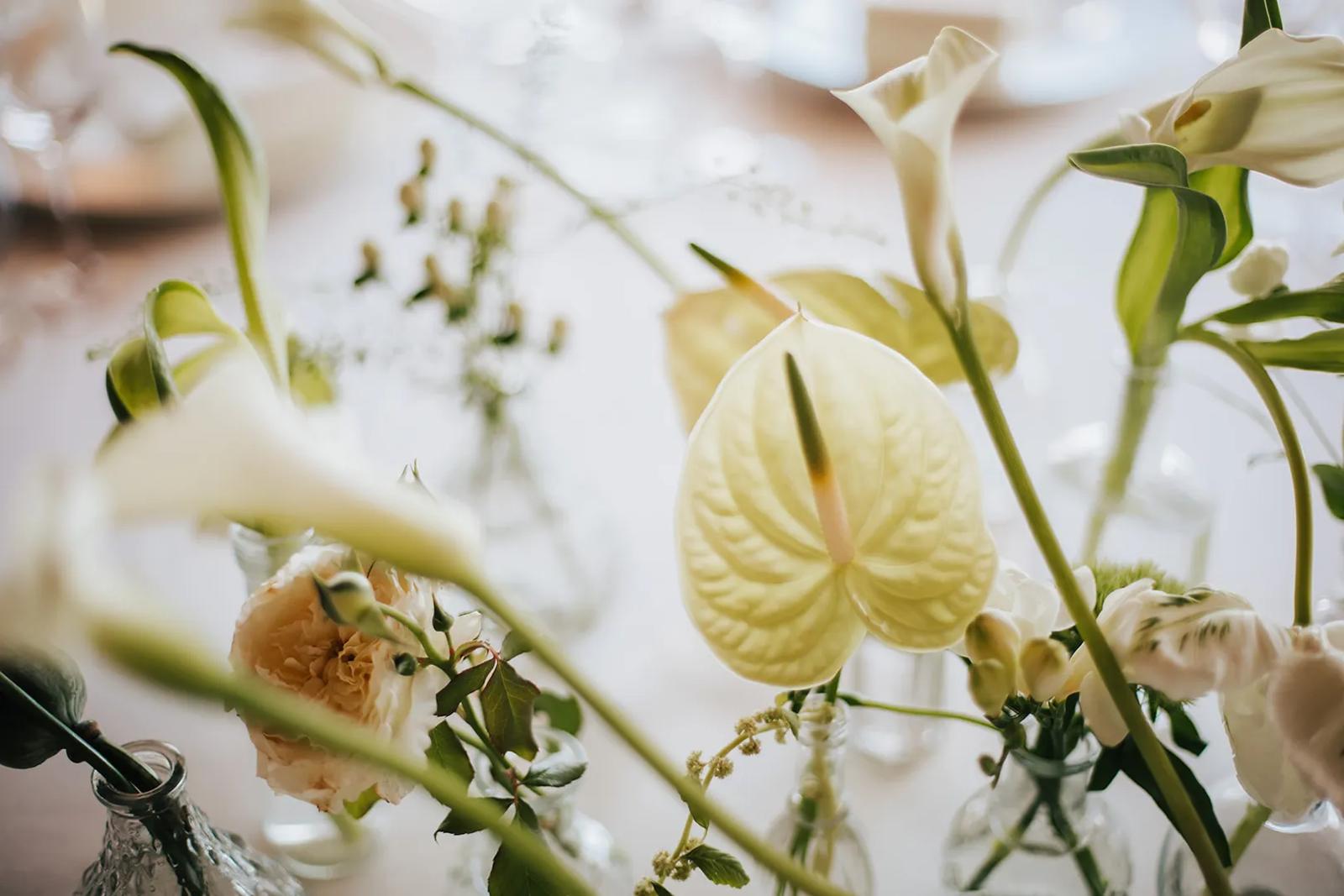 Portfolio Fleur Studio — Wedding Planner Sardinia