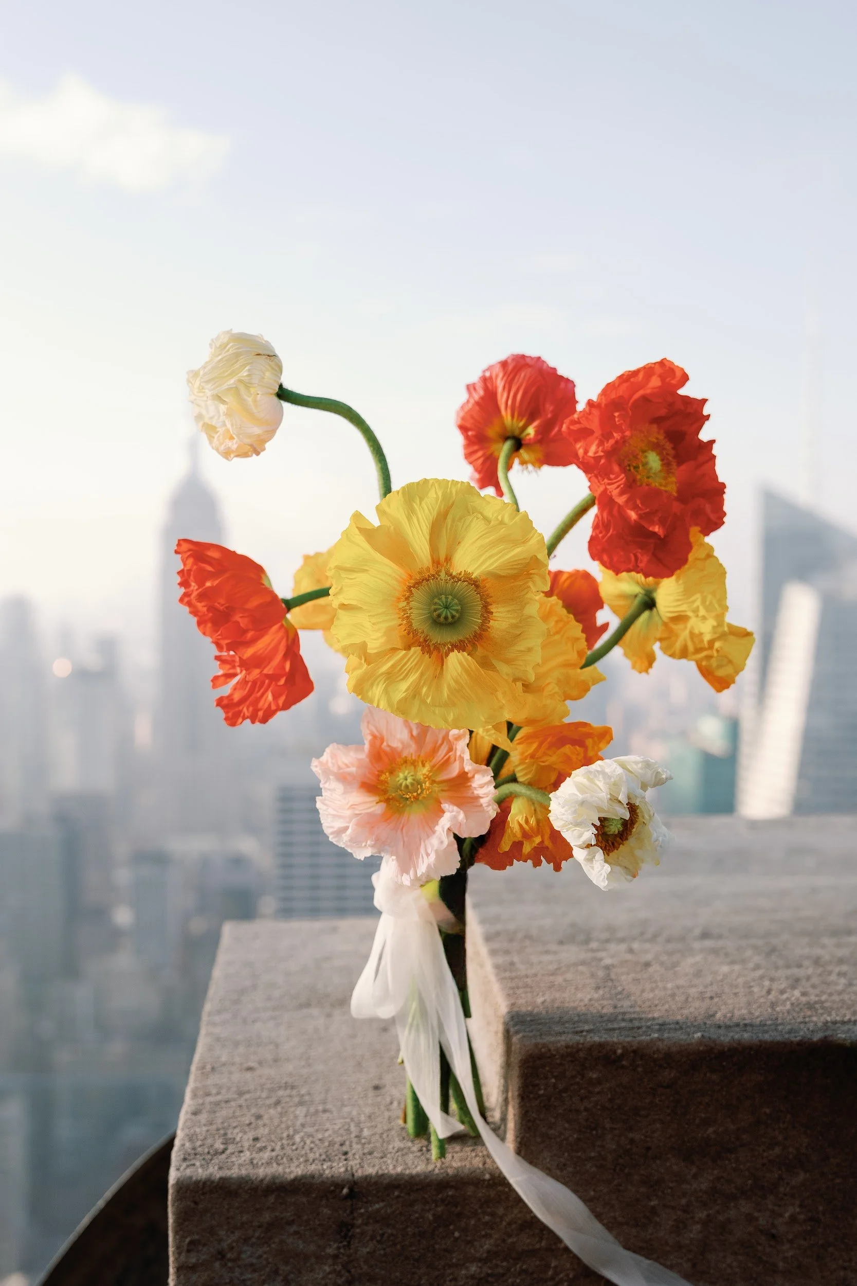 Alessandra and Mike in Manhattan